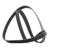 RIDEX PLUS 305P0492P Courroie Poly-V