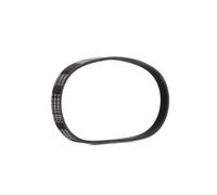RIDEX PLUS 305P0502P Courroie Poly-V
