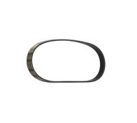 RIDEX PLUS 305P0520P Courroie Poly-V