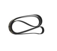 RIDEX PLUS 305P0639P Courroie Poly-V