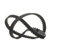 RIDEX PLUS 306T0066P Courroie de distribution