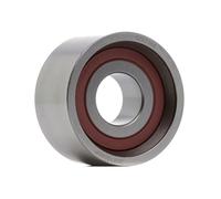 RIDEX PLUS 308T0049P Galet tendeur de courroie de distribution