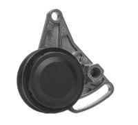 RIDEX PLUS 310T0002P Poulie, tendeur de courroie d'accessoire