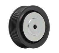 RIDEX PLUS 310T0009P Poulie, tendeur de courroie d'accessoire