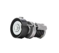 RIDEX PLUS 310T0017P Poulie, tendeur de courroie d'accessoire