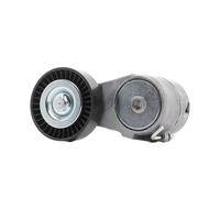 RIDEX PLUS 310T0025P Poulie, tendeur de courroie d'accessoire