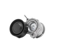 RIDEX PLUS 310T0030P Poulie, tendeur de courroie d'accessoire