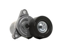 RIDEX PLUS 310T0041P Poulie, tendeur de courroie d'accessoire