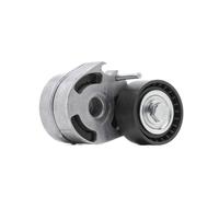 RIDEX PLUS 310T0046P Poulie, tendeur de courroie d'accessoire