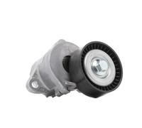 RIDEX PLUS 310T0107P Poulie, tendeur de courroie d'accessoire