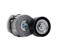 RIDEX PLUS 310T0145P Poulie, tendeur de courroie d'accessoire