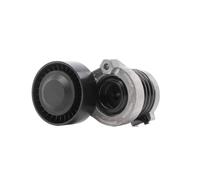 RIDEX PLUS 310T0291P Poulie, tendeur de courroie d'accessoire