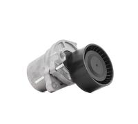 RIDEX PLUS 310T0302P Poulie, tendeur de courroie d'accessoire