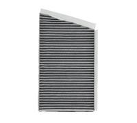 RIDEX PLUS 424I0529P Filtre d'habitacle