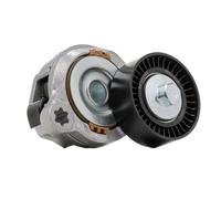 RIDEX PLUS 541V0018P Galet tendeur de courroie d'accessoire