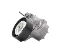 RIDEX PLUS 541V0031P Galet tendeur de courroie d'accessoire