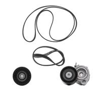 RIDEX PLUS 542R0071P Jeu de courroies trapézoïdales à nervures