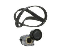 RIDEX PLUS 542R0170P Jeu de courroies trapézoïdales à nervures