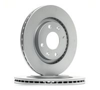 RIDEX PLUS 82B0381P Disque de frein