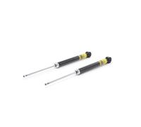 RIDEX PLUS 854S18811P Amortisseur
