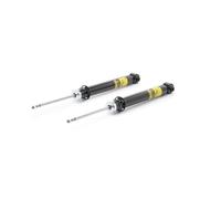 RIDEX PLUS 854S19313P Amortisseur
