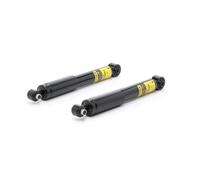 RIDEX PLUS 854S2109P Amortisseur