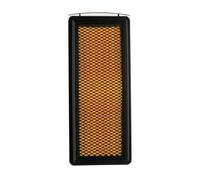 RIDEX PLUS 8A0615P Filtre à air