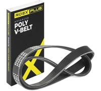 RIDEX PLUS Courroie Poly-V Courroie d'accessoire 305P0051P