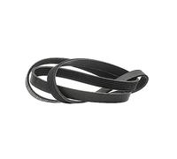 RIDEX PLUS Courroie Poly-V Courroie d'accessoire 305P0083P