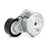 RIDEX 310T0039 Poulie, tendeur de courroie d'accessoire