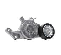 RIDEX 310T0298 Poulie, tendeur de courroie d'accessoire