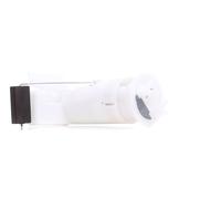 RIDEX Unité d'injection de carburant 1382F0034 pour CITROËN SAXO (S0, S1)
