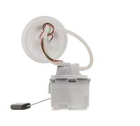 RIDEX Unité d'injection de carburant Module de pompe à carburant 1382F0003