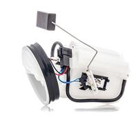 RIDEX Unité d'injection de carburant Module de pompe à carburant 1382F0014