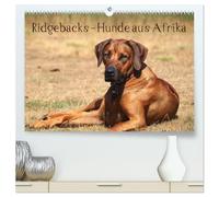 Ridgebacks - Hunde aus Afrika (hochwertiger Premium Wandkalender 2026 DIN A2 quer), Kunstdruck in Hochglanz: Faszination Rhodesian Ridgeback - ein Portrait dieser tollen Rasse