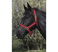 RIDING WORLD Licol Double épaisseur Rouge pour Cheval