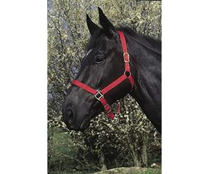 RIDING WORLD Licol Double épaisseur Rouge pour Cheval