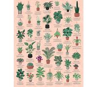 Puzzle 1000 pièces : Plantes d'intérieur Galison G