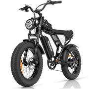 Ridstar Q20min - Vélo Électrique -Moteur 1000w - Batterie 48v 15ah - Autonomie 100km - Max 45km/H - Roues 20 Multicolore