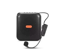 rieder E377 Pro Mini Amplificateur de Classe Sans Multifonction Portable Voix pour Enseignant, Formation, Guide Voyage