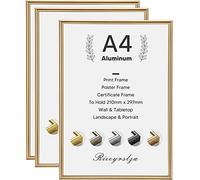 Rieeyrslza Lot de 3 Cadres Photo A4 Cadre à Documents en Aluminium Convient pour Accrocher des Diplôme et Décoration Cadre photo Montage Mural ou sur Table (Champagne)