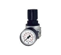 RIEGLER 100343-R 06-10 Multifix-mini Régulateur de pression avec Mano, BG 0, G 1/4, 0,5-10 bar, 1 pièce