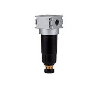 RIEGLER 100366-F 06 M Multifix-mini Filtre avec récipient en métal, 5 µm, BG 0, G 1/4, 1 pièce