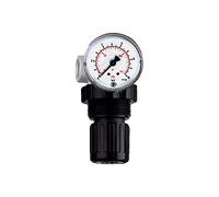 RIEGLER 100764-480.12 Standard Mini Régulateur de pression avec Mano, BG 0, G 1/8, 0,15-7 bar, 1 pièce