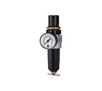 RIEGLER 100784-578.01 M Régulateur de filtre « Mini standard », récipient en métal avec mano, G 1/4, 1 pièce