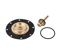 RIEGLER 100919-22.793.4 Jeu de pièces d'usure, pour régulateur de pression constante, BG 4, 1 pièce