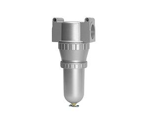 RIEGLER 100977-650 Standard Filtre E/M avec réservoir métallique 5 µm BG 3 G 1 pièce