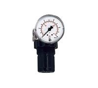 Riegler 101304 Régulateur de pression d'eau Manomètre G 1/4 0,2-6 bar