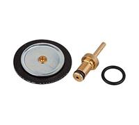 RIEGLER 101306-22.484.4 Kit de pièces d'usure, pour régulateur de pression d'eau, 1 pièce