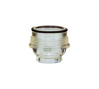 RIEGLER 101382-100/244 Tasses à tamis transparentes pour régulateur de pression pour eau potable, R 1, R 1 1/4, 1 pièce